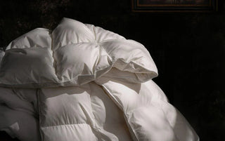 Down vs Feather: What is the difference? - Linens Delight