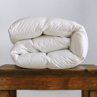 Comforters and Duvets - Linens Delight