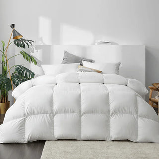 White comforter on a bed in a bedroom setting with plants and a lamp.