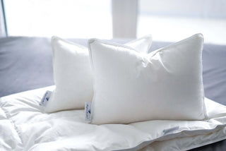 Vancouver Pillow shop, travel pillow