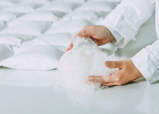 What is the percentage of down in the down products?