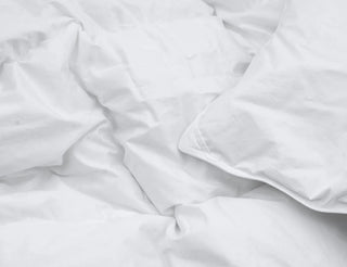 How to choose down products? - Linens Delight