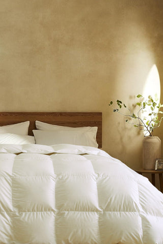 Customer Favorites: Our Best-Selling Bedding & Down Essentials