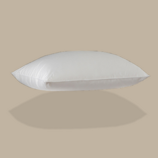 650 Loft European White Down Pillow with plain color background