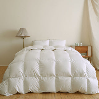 All Season Plush Comfort