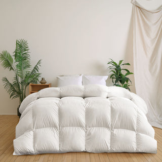 Winter Supreme Loft