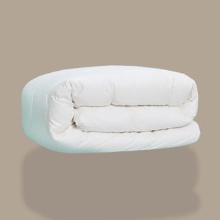 725 Loft European White Down Comforter - Linens DelightWhite Down Comforter