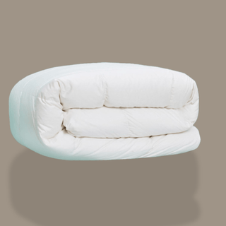 750 Loft Hungarian White Goose Down Comforter - Linens DelightWhite Goose Down Comforter
