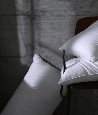 950 Loft Polish White Goose Down Pillow - Linens DelightWhite Goose Down Pillow