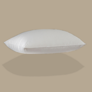 725 Loft European White Down Pillow with plain color background