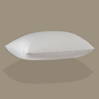 750 Loft Hungarian White Goose Down Pillow with plain color background