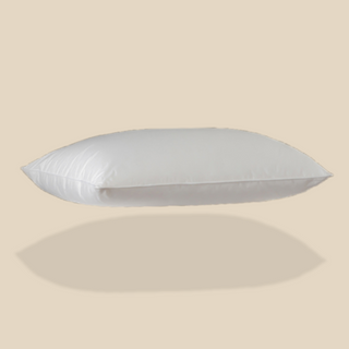 Down Pillows with plain color background | 600 Loft European White 
