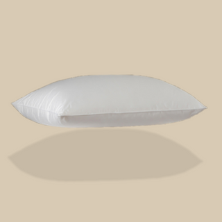 600 Loft White Goose Down Pillow with plain color background