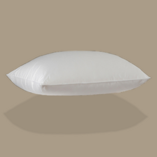 725 Loft Canadian Hutterite White Goose Down Pillow with plain color background