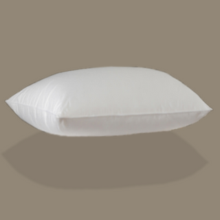 800 Loft European White Down Pillow with plain color backgroung