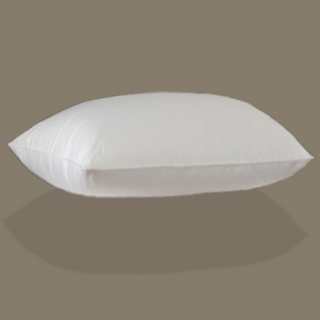 850 Loft Hungarian White Goose Down Pillow with plain color background