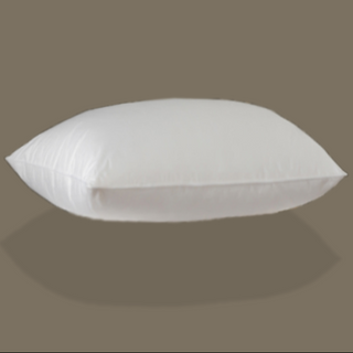Pillow, Down Pillow with plain color background