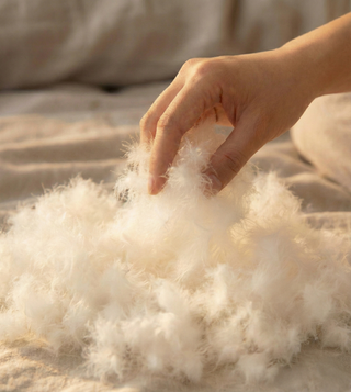 All Season Plush Comfort