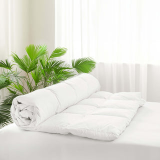 White Down Comforter Online Shop with Queen, King, and California King size