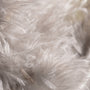 Feather