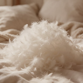Down & Feather Comforter