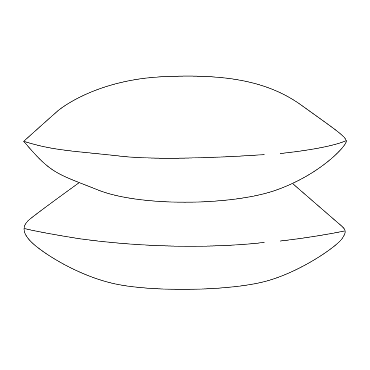Down Pillow icon
