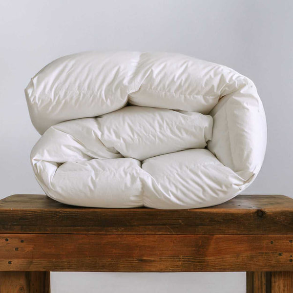 Supreme Loft - Luxurious