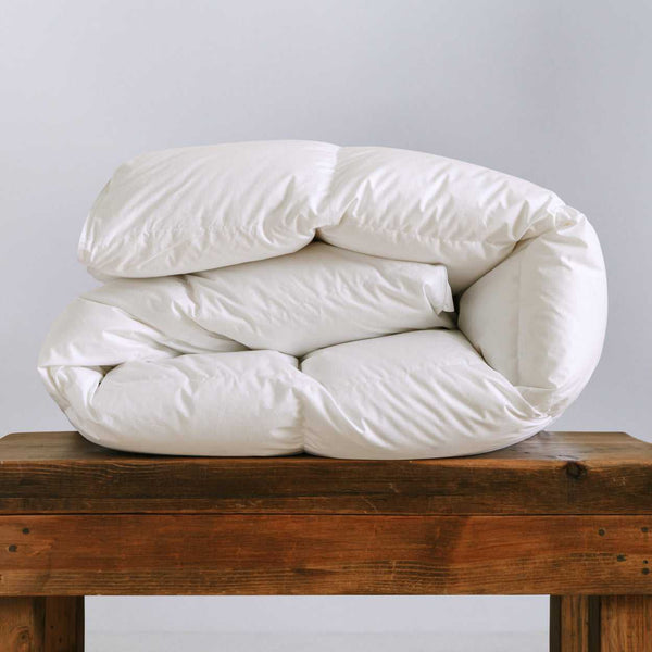 Plush Comfort - Soft and Cozy