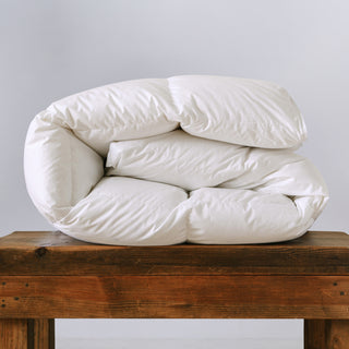 All Season Plush Comfort