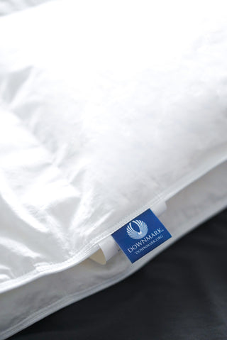 Summer Lightweight Airy - European White Down Comforter