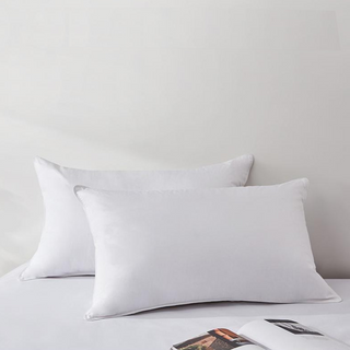 650 Loft European White Down Pillow