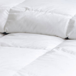 All Season Plush Comfort