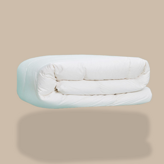 Down Comforter or Duvet with 600 Loft White Goose Down, we ship to both United States and Canada